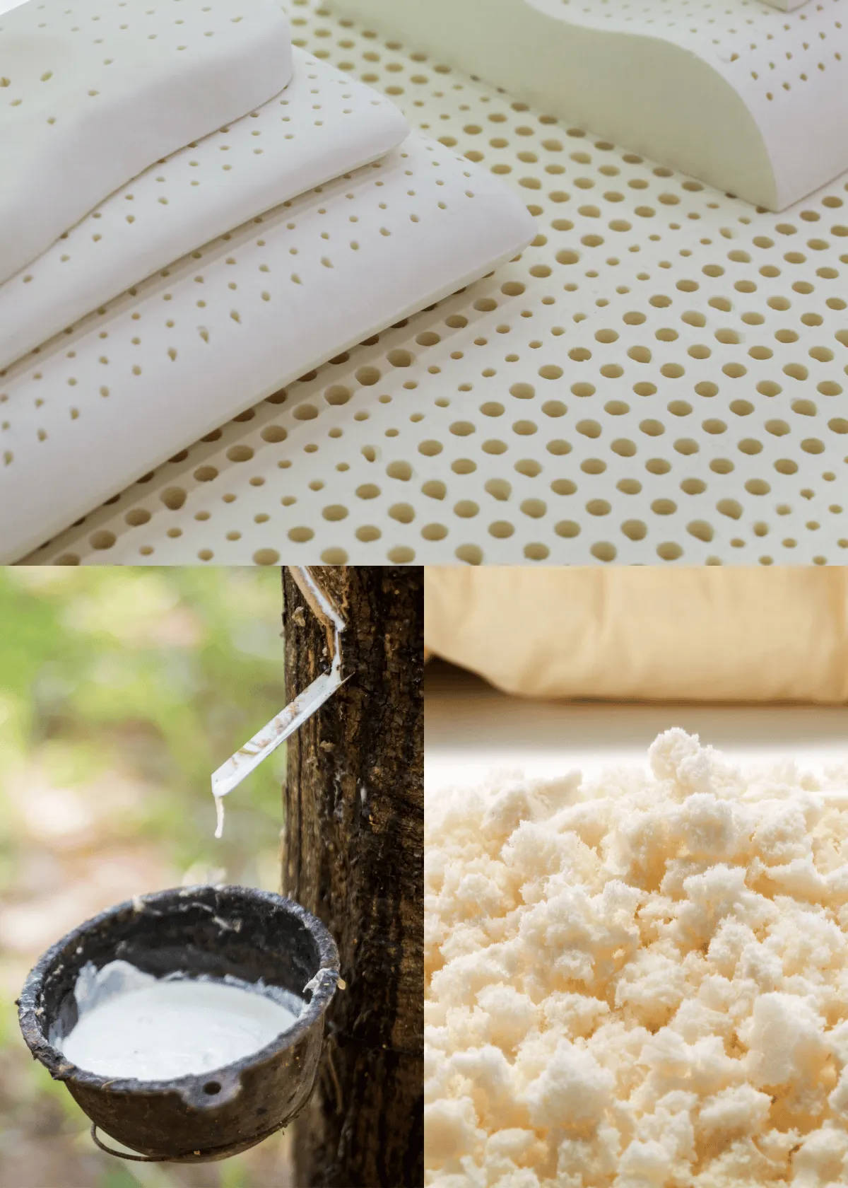 "The Difference Between Dunlop and Talalay Latex Mattresses"