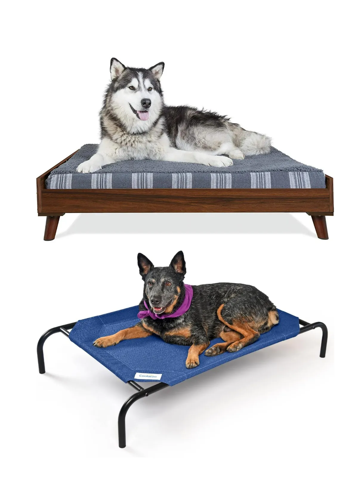 "Dog Bed Frame: Top Quality & Designs for Ultimate Pet Comfort"