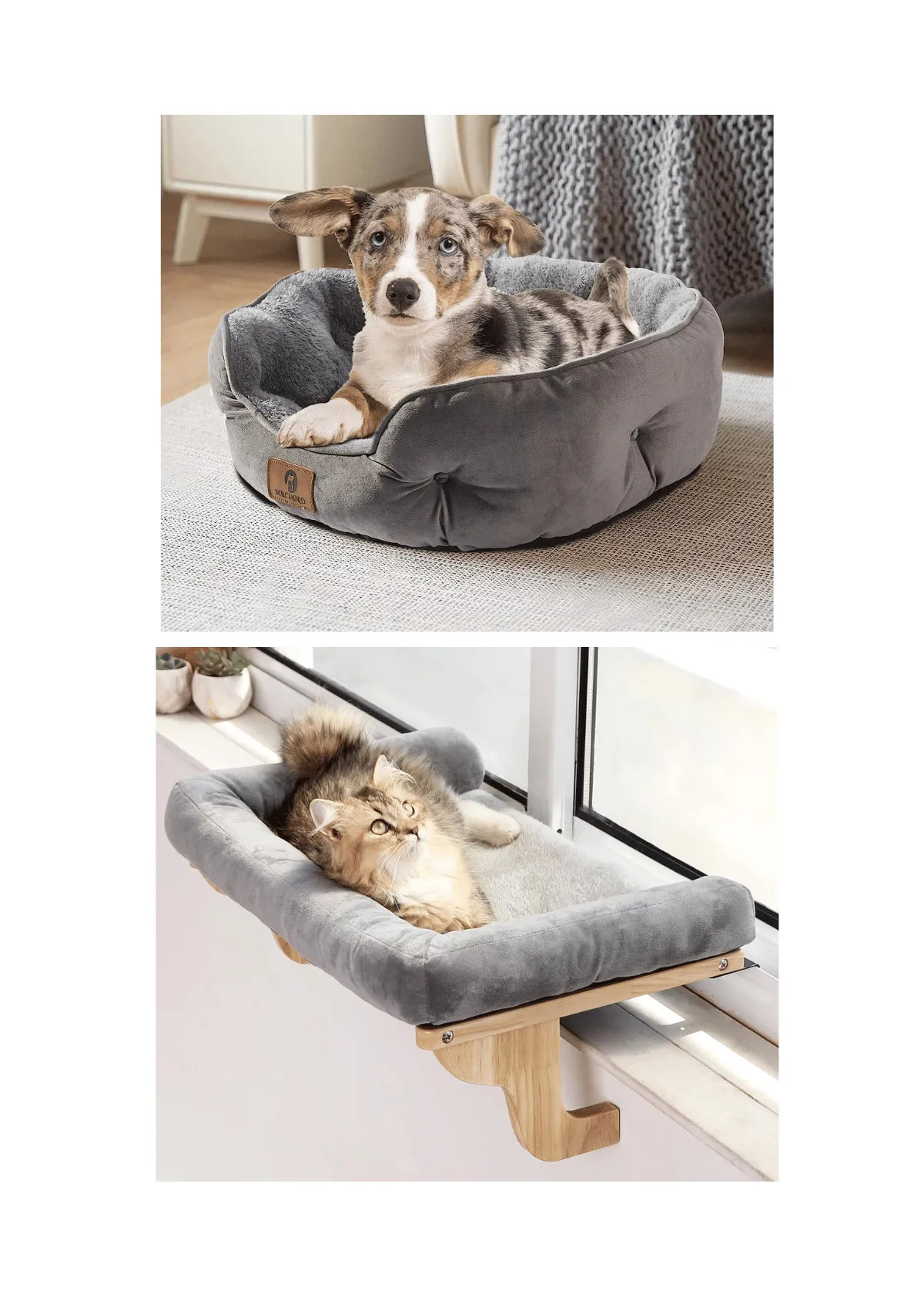 "The Best Pet Bed Frame Picks for a Comfy Sleep: An Owner Guide"